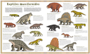 {'language': [{'attrs': {'id': '2'}, 'value': 'ATLAS DE CRIATURAS EXTINTAS'}, {'attrs': {'id': '3'}, 'value': 'ATLAS DE CRIATURAS EXTINTAS'}]}