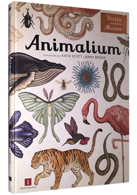 {'language': [{'attrs': {'id': '2'}, 'value': 'ANIMALIUM'}, {'attrs': {'id': '3'}, 'value': 'ANIMALIUM'}]}