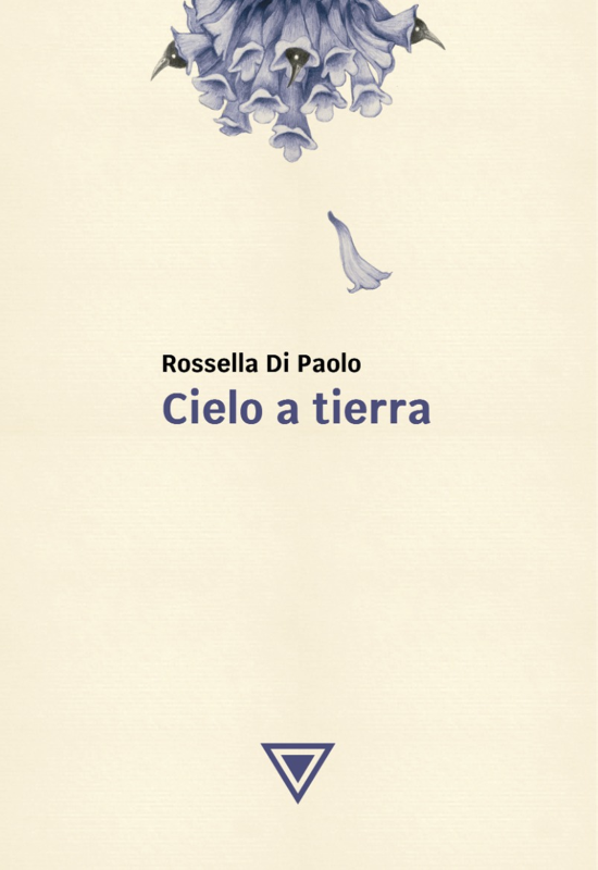 CIELO A LA TIERRA