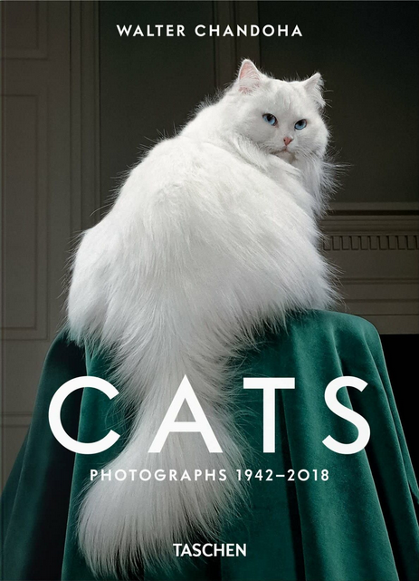 WALTER CHANDOHA. CATS: PHOTOGRAPHS 1942 - 2018