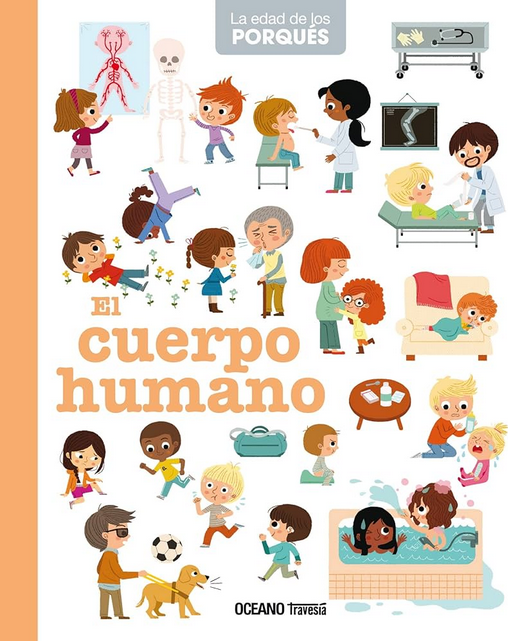 EL CUERPO HUMANO
