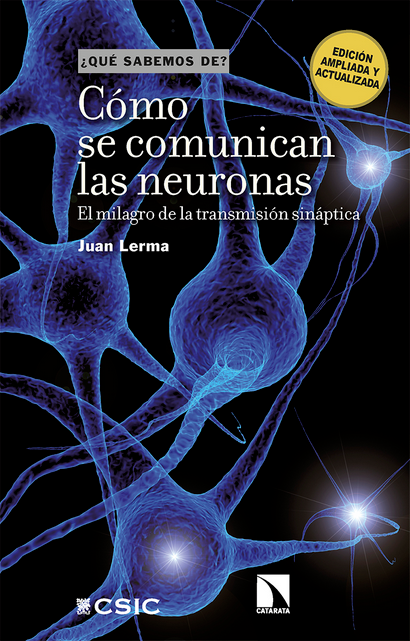 CÓMO SE COMUNICAN LAS NEURONAS