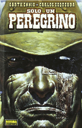 SOLO UN PEREGRINO