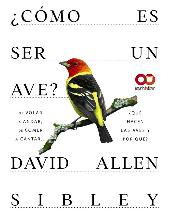 ¿CÓMO ES SER UN AVE?