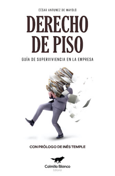 DERECHO DE PISO