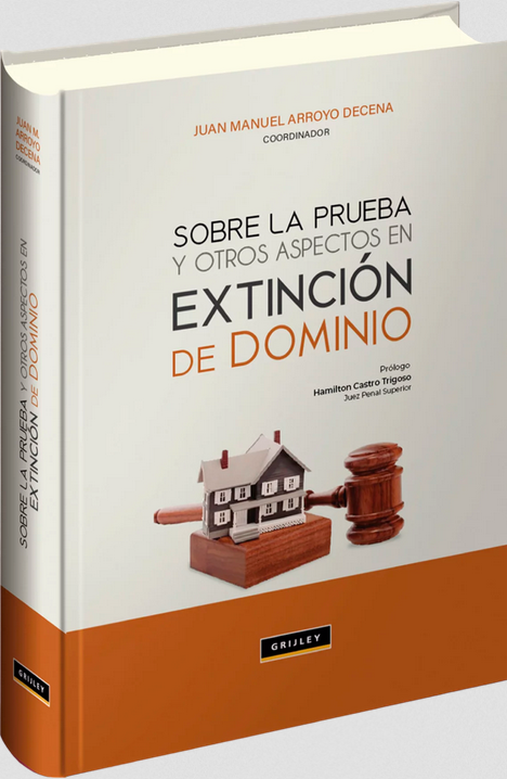 SOBRE LA PRUEBA Y OTROS ASPECTOS EN EXTINCIÓN DE DOMINIO