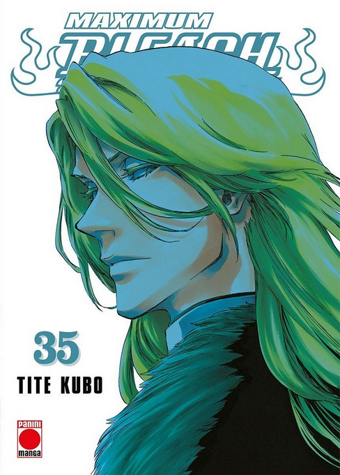 BLEACH (Edición Maximum) 35
