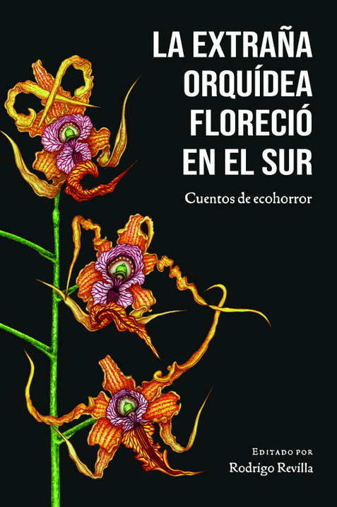 LA EXTRAÑA ORQUÍDEA FLORECIÓ EN EL SUR