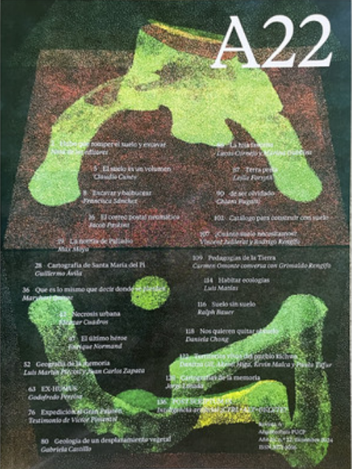 REVISTA A22