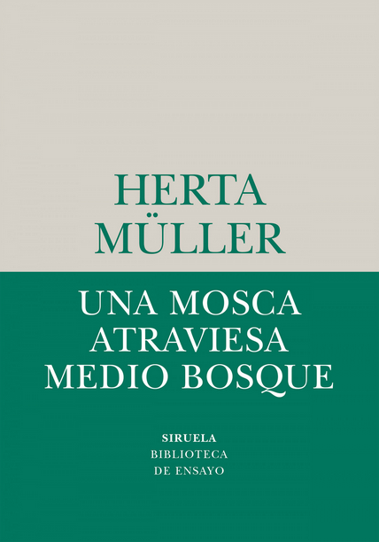 UNA MOSCA ATRAVIESA MEDIO BOSQUE