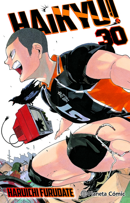 HAIKYÛ!! 30