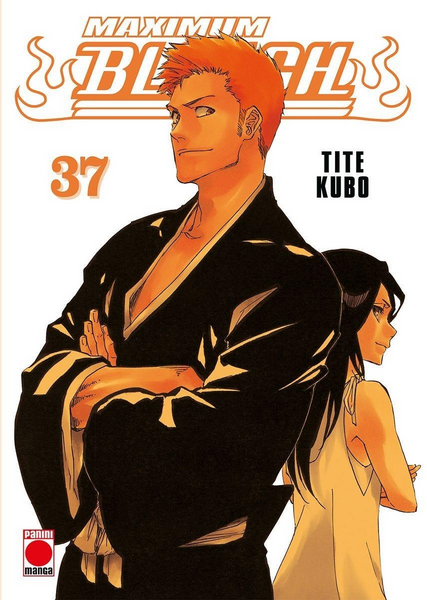 BLEACH (Edición Maximum) 37