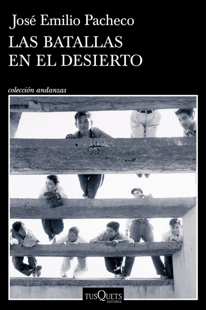 LAS BATALLAS EN EL DESIERTO