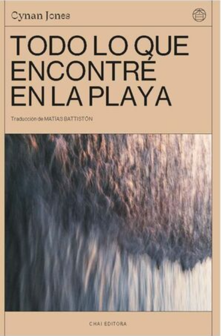 TODO LO QUE ENCONTRÉ EN LA PLAYA
