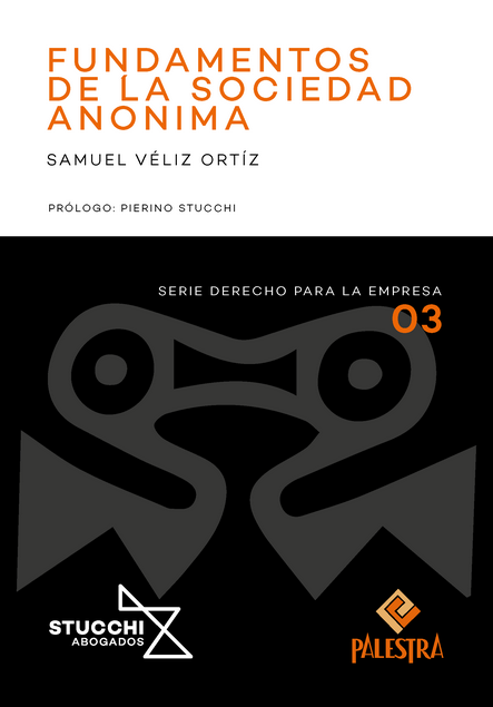 FUNDAMENTOS DE UNA SOCIEDAD ANÓNIMA