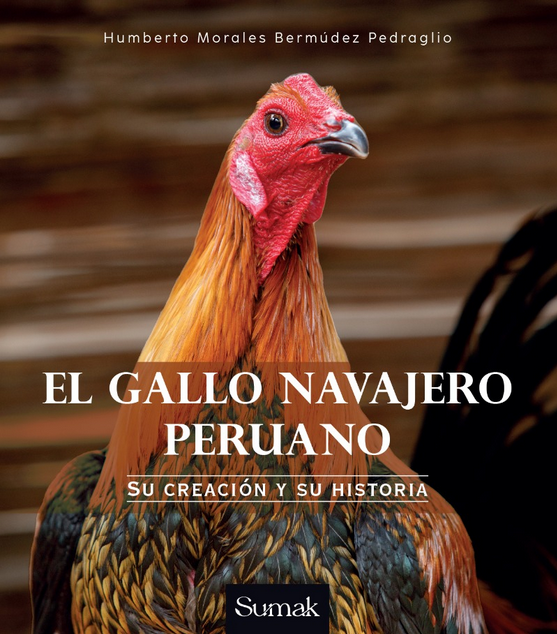 EL GALLO NAVAJERO PERUANO