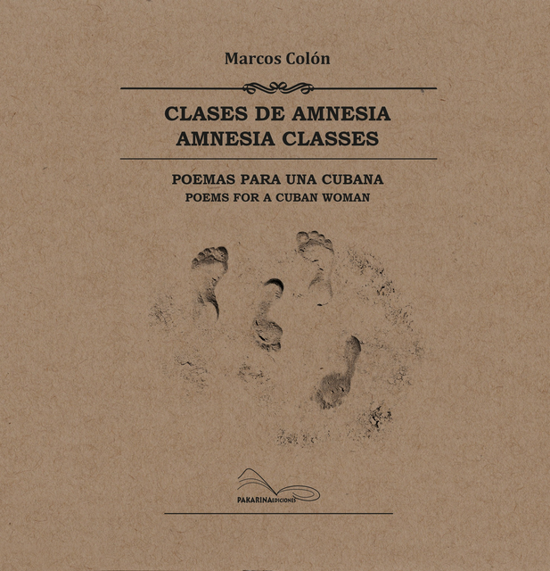CLASES DE AMNESIA / AMNESIA CLASSES