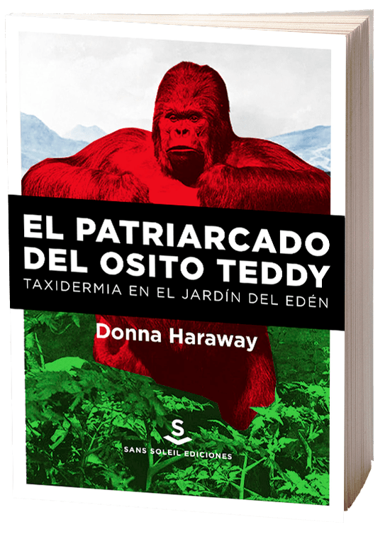 EL PATRIARCADO DEL OSITO TEDDY