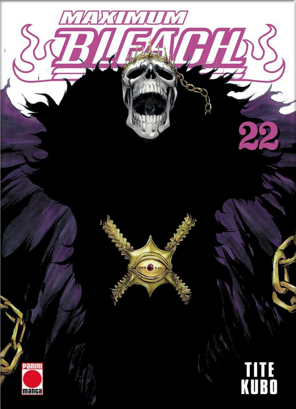 BLEACH (Edición Maximum) 22