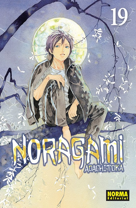 NORAGAMI 19/27