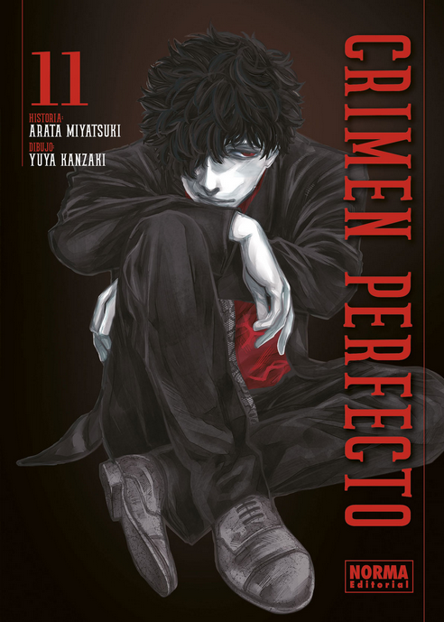 CRIMEN PERFECTO 11