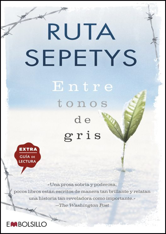 ENTRE TONOS DE GRIS