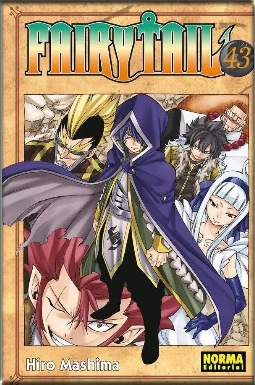 FAIRY TAIL 43 (de 63)