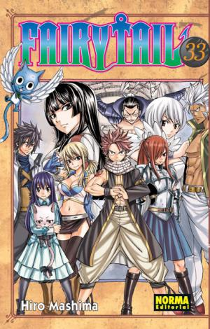 FAIRY TAIL 29