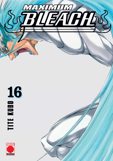 BLEACH (Edición Maximum) 16/37