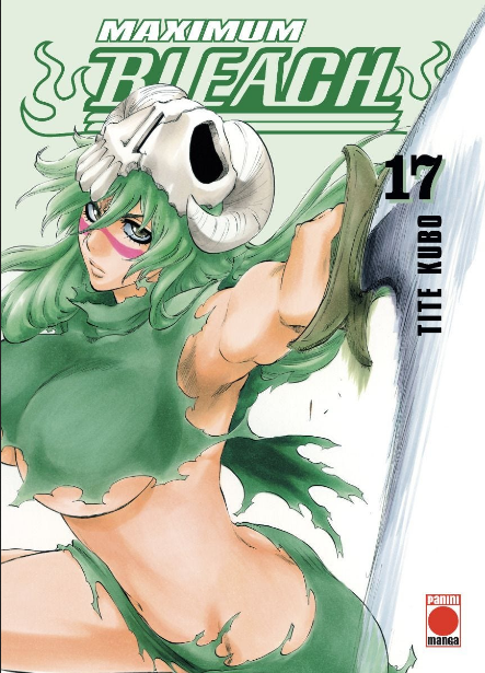 BLEACH (Edición Maximum) 17