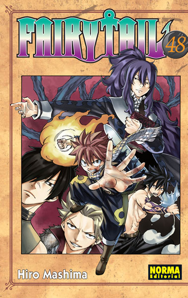 FAIRY TAIL 48 (de 63)