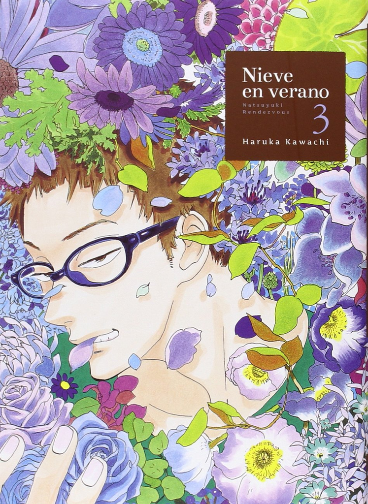 NIEVE EN VERANO 03