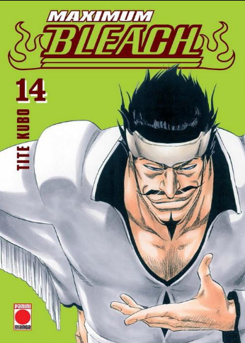BLEACH (Edición Maximum) 14/37