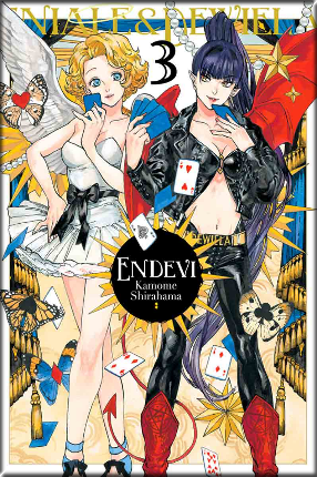ENDEVI 03