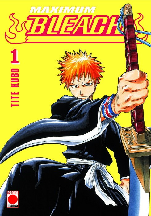 BLEACH 01 (Edición Maximum)