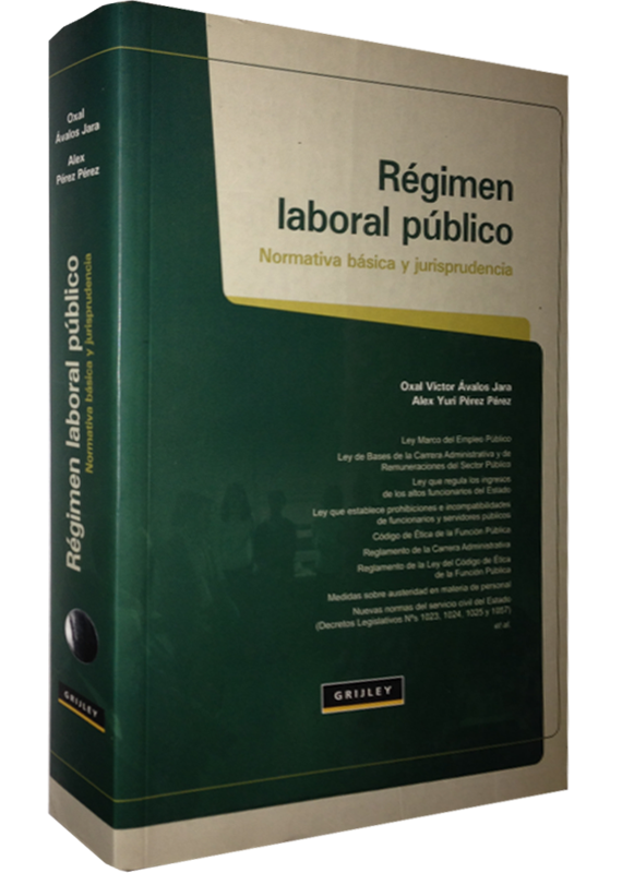 RÉGIMEN LABORAL PÚBLICO