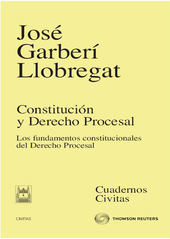 CONSTITUCIÓN Y DERECHO PROCESAL