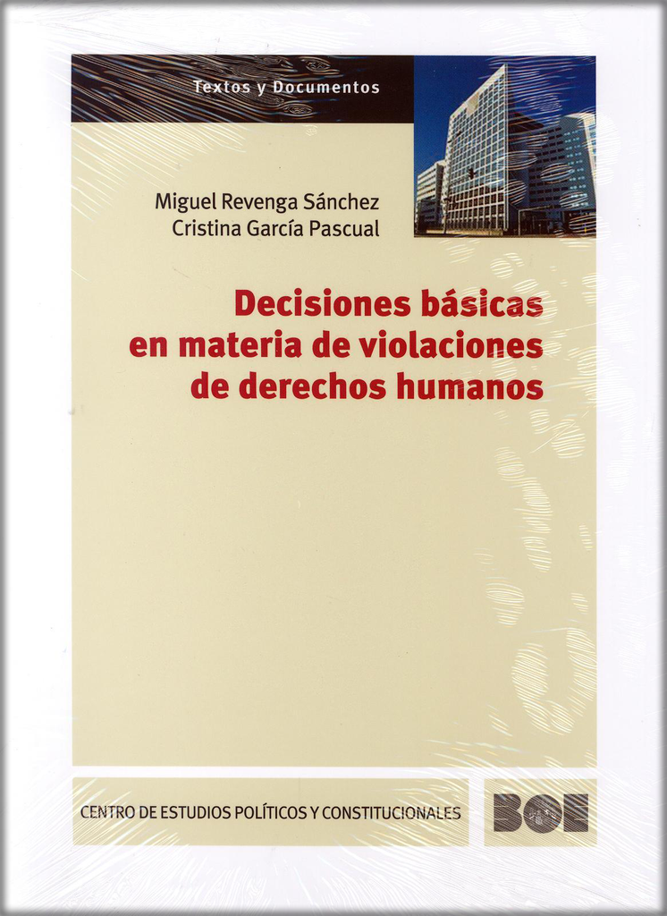DECISIONES BÁSICAS EN MATERIA DE VIOLACIONES DE DERECHOS HUMANOS