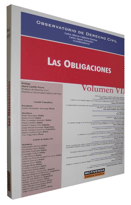 LAS OBLIGACIONES