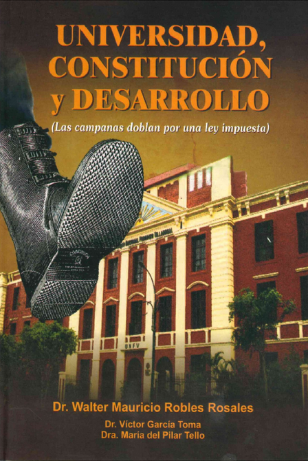 UNIVERSIDAD, CONSTITUCIÓN Y DESARROLLO
