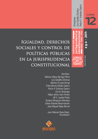 IGUALDAD, DERECHOS SOCIALES Y CONTROL DE POLÍTICAS PÚBLICAS EN LA JURISPRUDENCIA CONSTITUCIONAL
