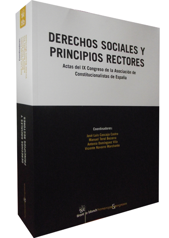 DERECHOS SOCIALES Y PRINCIPIOS RECTORES