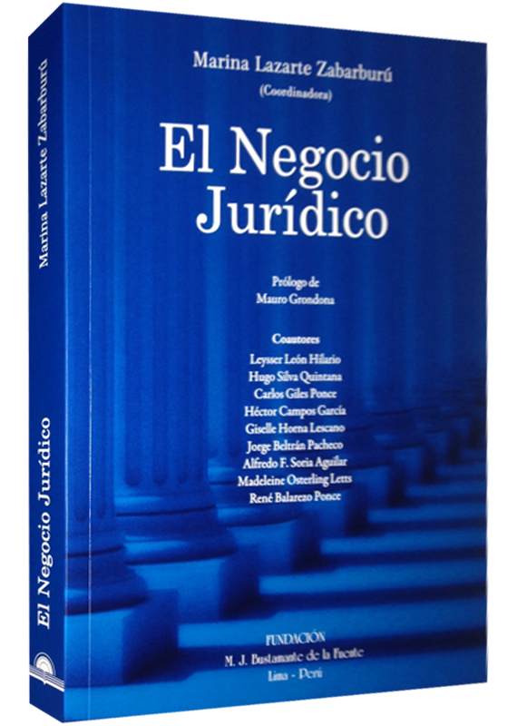 EL NEGOCIO JURÍDICO