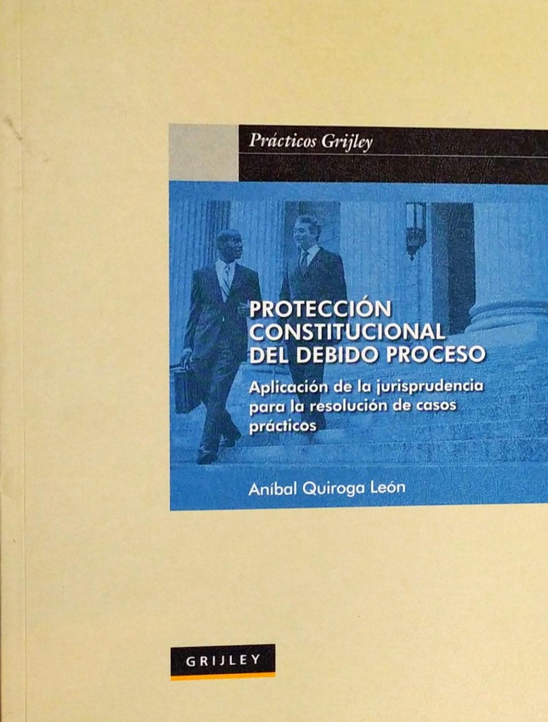 PROTECCIÓN CONSTITUCIONAL DEL DEBIDO PROCESO