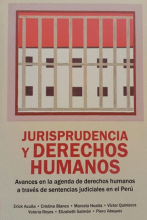 JURISPRUDENCIA Y DERECHOS HUMANOS