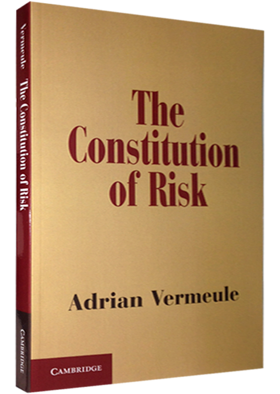 THE CONSTITUTION OF RISK