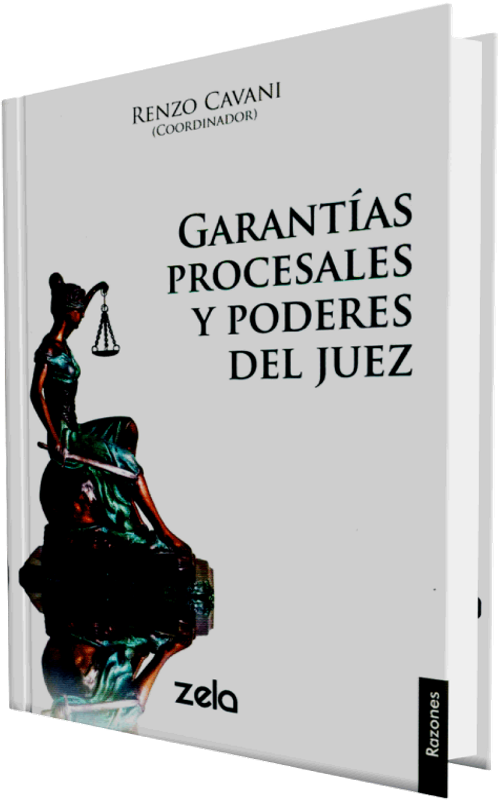 GARANTÍAS PROCESALES Y PODERES DEL JUEZ
