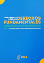 DERECHOS FUNDAMENTALES Y PROCESOS CONSTITUCIONALES VOL. 2