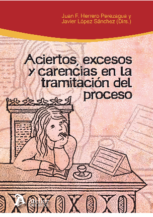 ACIERTOS, EXCESOS Y CARENCIAS EN LA TRAMITACIÓN DEL PROCESO