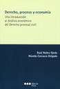 DERECHO, PROCESO Y ECONOMÍA